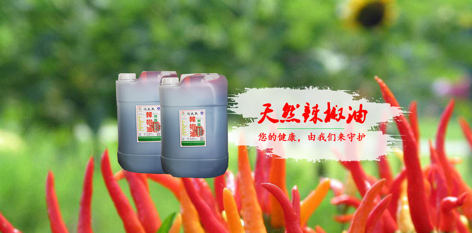 國(guó)內(nèi)首位EV行業(yè)